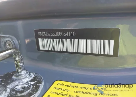 2006 Kia Sedona Ex/Lx z USA, uszkodzony, nr VIN KNDMB233066064140